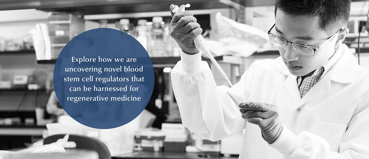 Derek Chan, Hope Lab, sample processing, research, stem cells, research institute